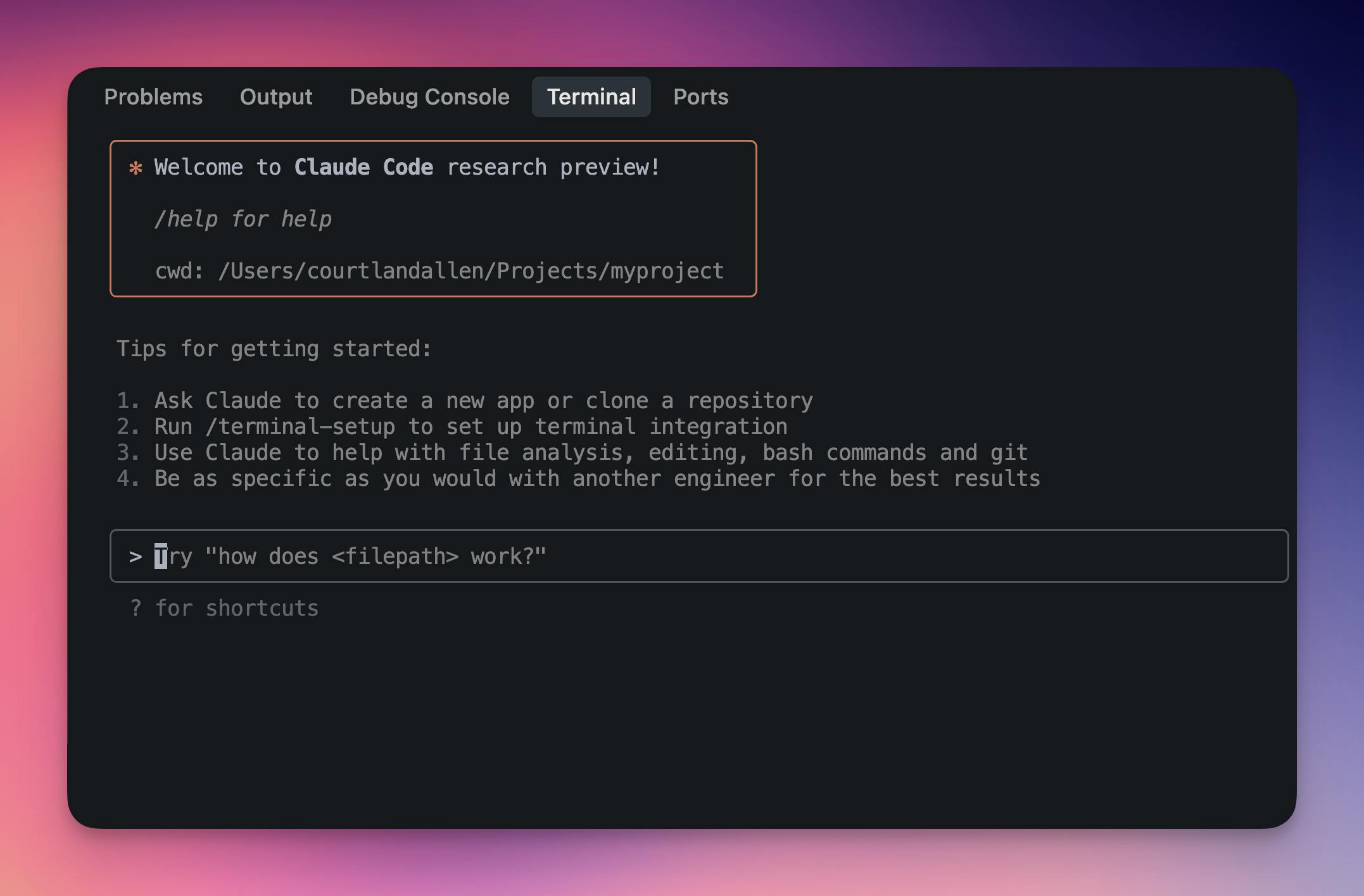 A screenshot of the basic user interface of Claude Code.