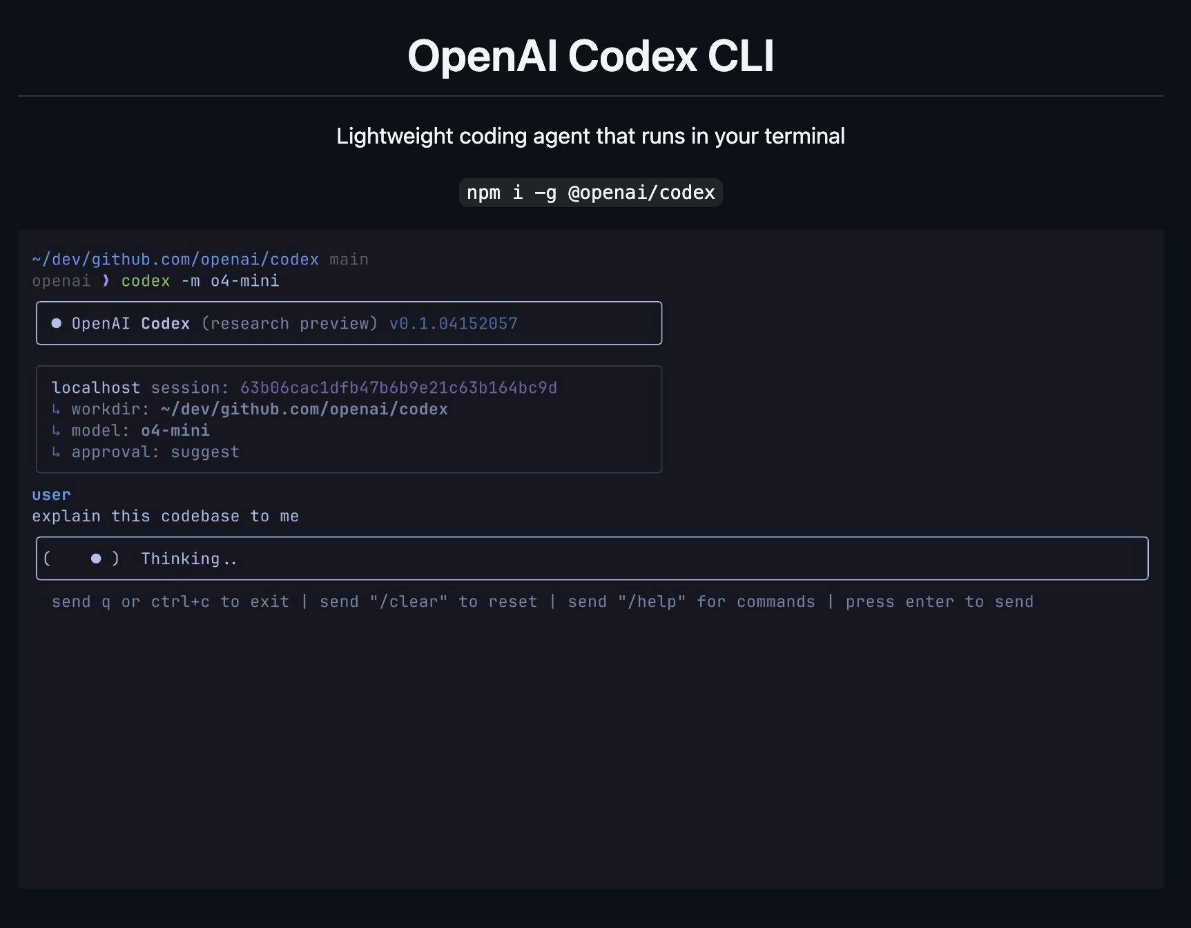 Codex CLI User Interface.