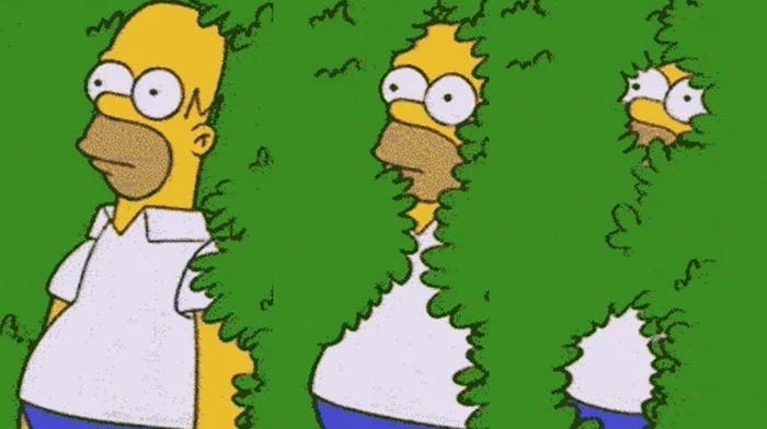A meme of Homer Simpson backing into bushes to hide
