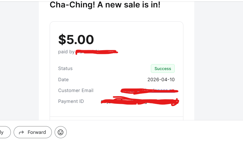 first sale notification from dodopayments for roastmylanding