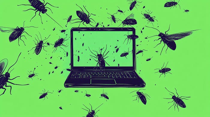 Bugs on a laptop