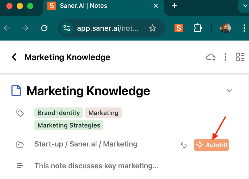 AI sorts folders